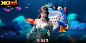 Tải Bắn Cá Xo88 - Quy Trình Tải Nhanh Chóng Và An Toàn